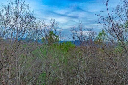 Family Fun-Relax-Mtn View-Game Rm-Hottub Blue Ridge Exterior foto